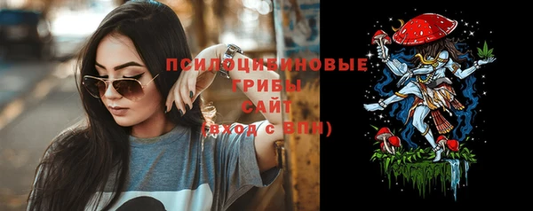спиды Всеволожск