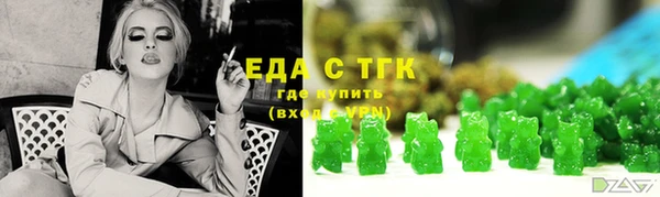 молекула духа Горнозаводск