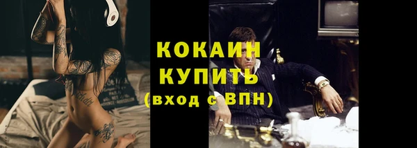 apvp Горняк