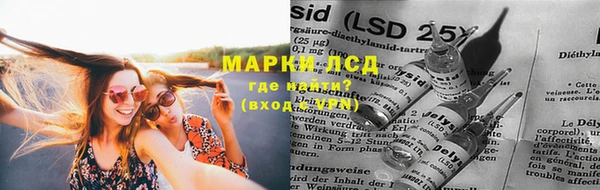 apvp Горняк